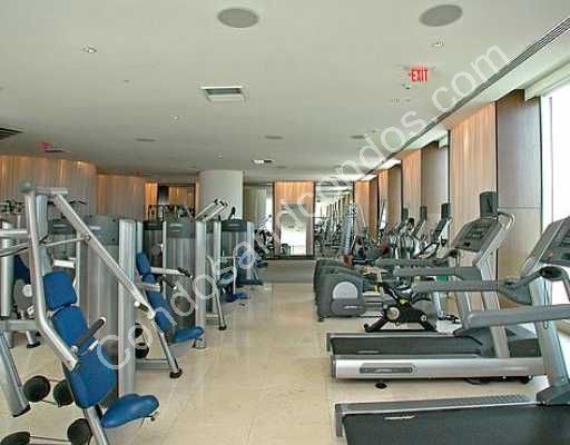 State of the art cardiovascular and weight training equipment 