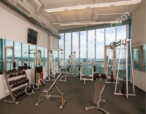Weight training equipment at the fitness center