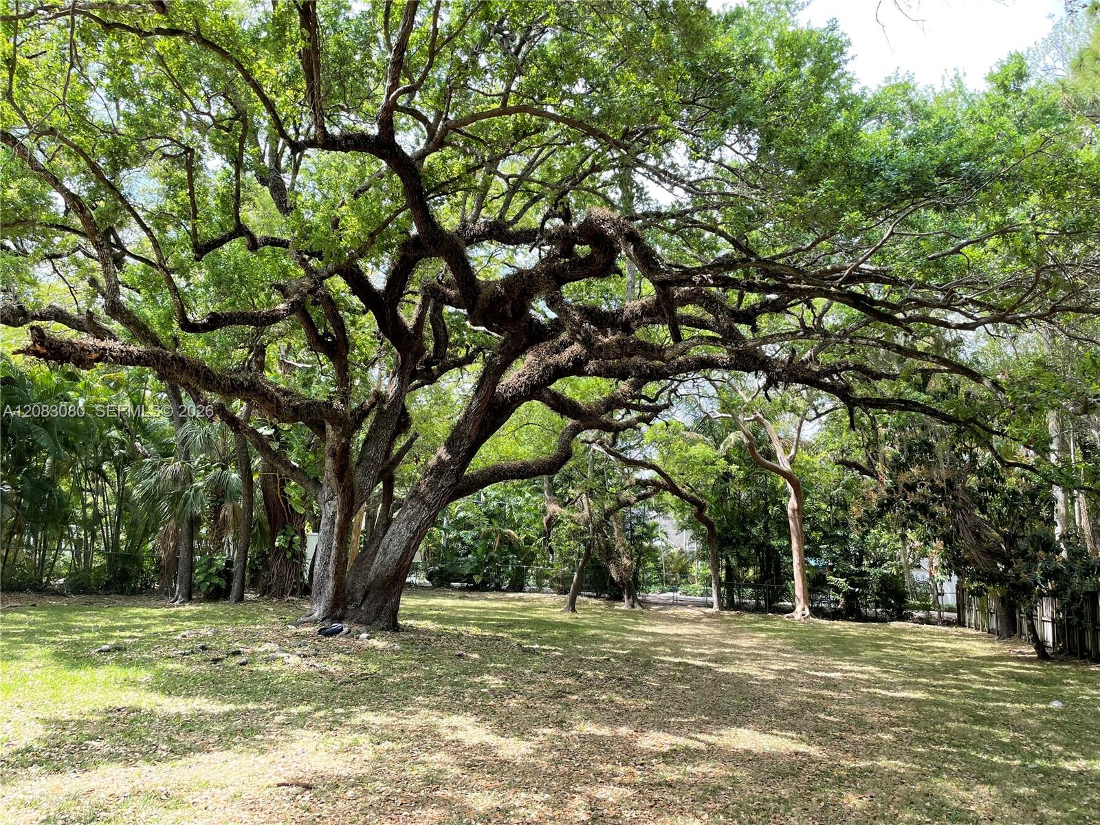 Photo of 2831 Emathla Street # listing for Sale