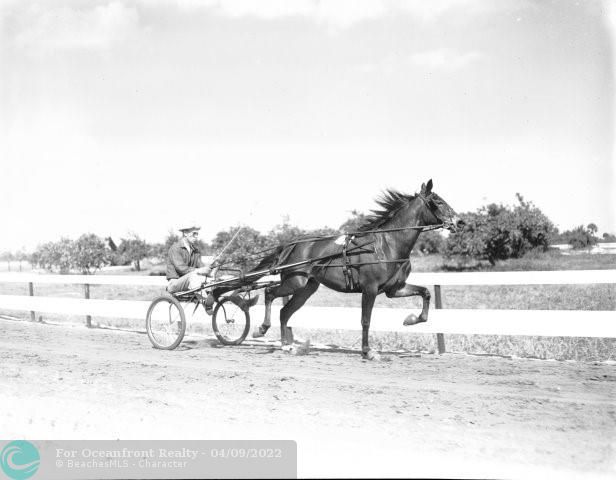 Louis A. Wehle built a track for harness racing.