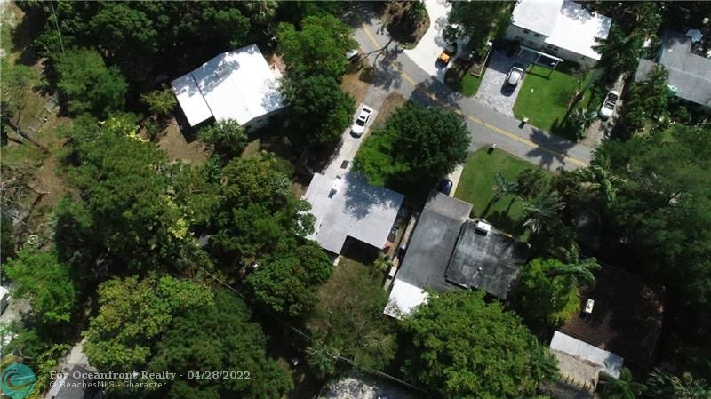 DRONE SHOT BACK YARD WITH MANGO TREE IN THE LEFT