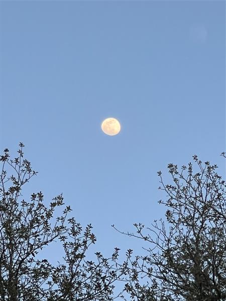 Photo of #F10538821 listing for Sale